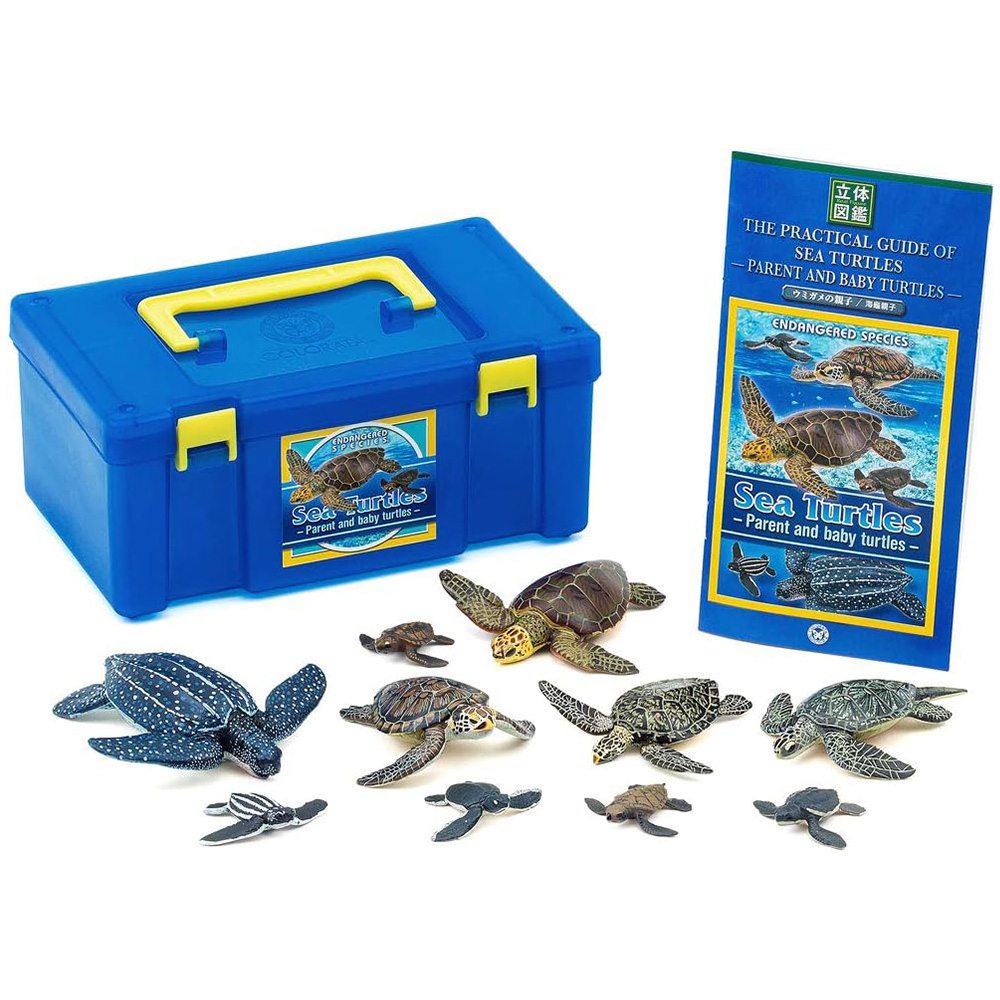[해외] COLORATA 콜로라타 바다 거북 부모와 자식 피규어 입체도감 5종 10개 리얼 피규어 박스